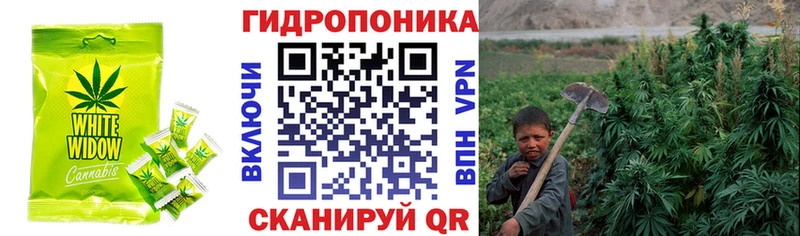 где найти Кимры Печенье с ТГК марихуана
