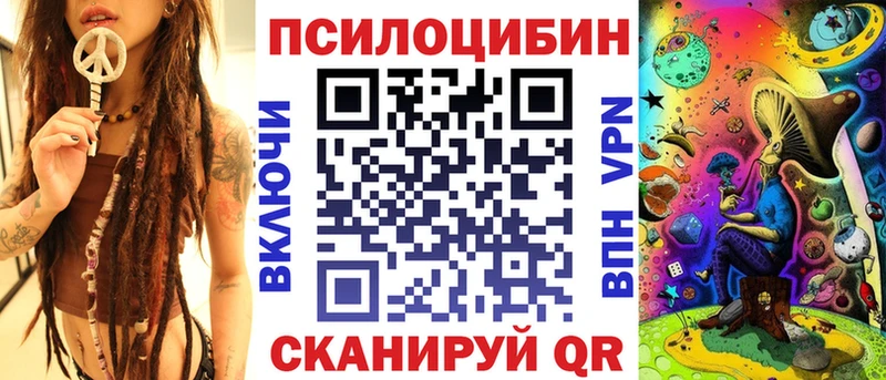 купить закладку  Кимры  Псилоцибиновые грибы Psilocybine cubensis 
