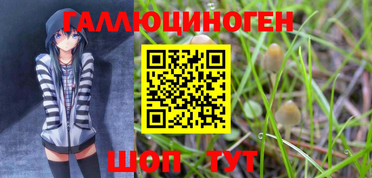 Псилоцибиновые грибы MAGIC MUSHROOMS Кимры