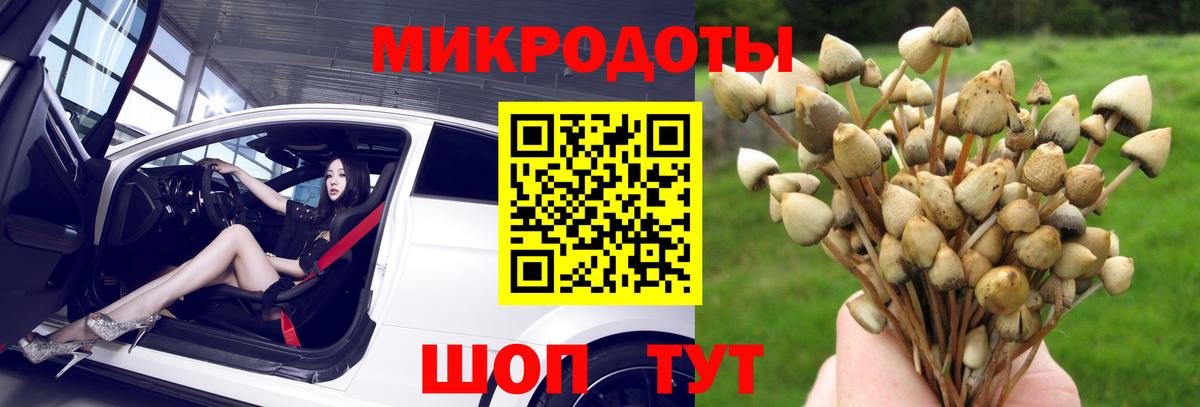 Псилоцибиновые грибы GOLDEN TEACHER  Вход с VPN  Кимры 