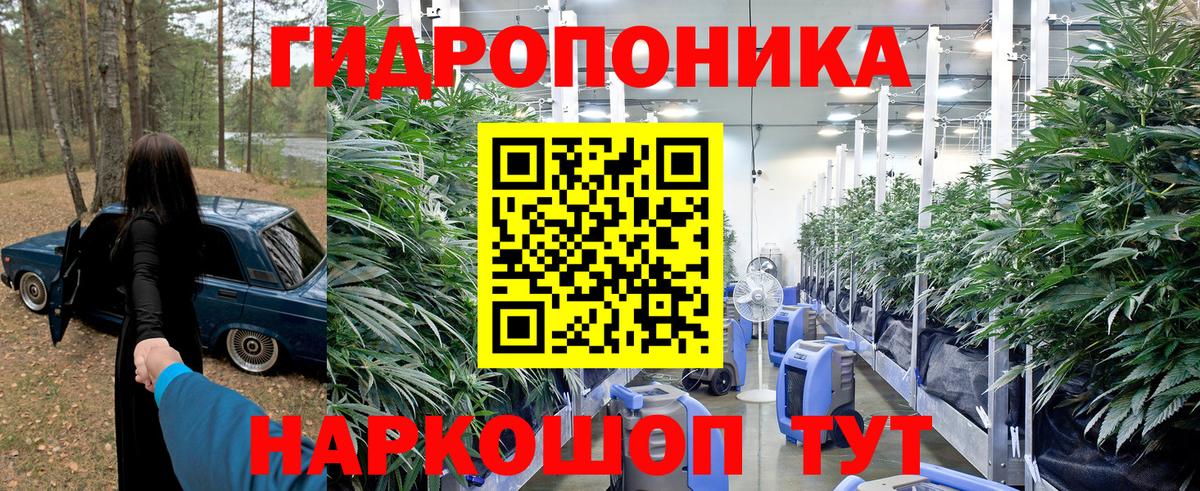 Кимры  Бошки марихуана White Widow  Марихуана марихуана  Вход с VPN 